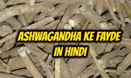 अश्वगंधा के फायदे – ashwagandha benefits in hindi