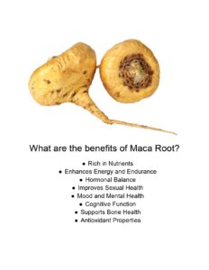 Maca root benefits