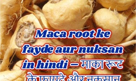 माका रूट के फायदे और नुकसान – maca root benefits and side effects in hindi