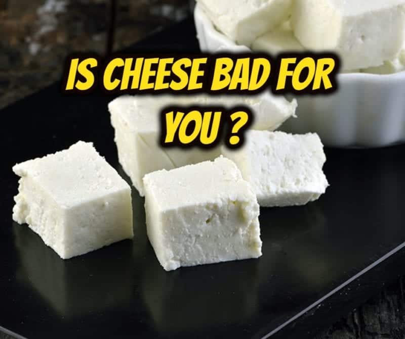 Is Cheese Bad For You 