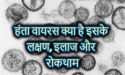 हंता वायरस क्या है इसके लक्षण, इलाज और रोकथाम – hantavirus in hindi