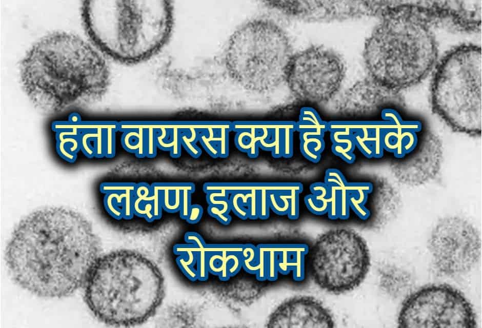 हंता वायरस क्या है इसके लक्षण, इलाज और रोकथाम – hantavirus in hindi
