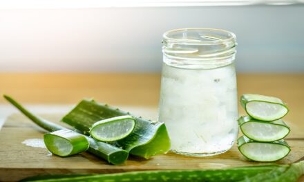 एलोवेरा जूस के फायदे (aloe vera juice ke fayde) – Aloe vera juice benefits