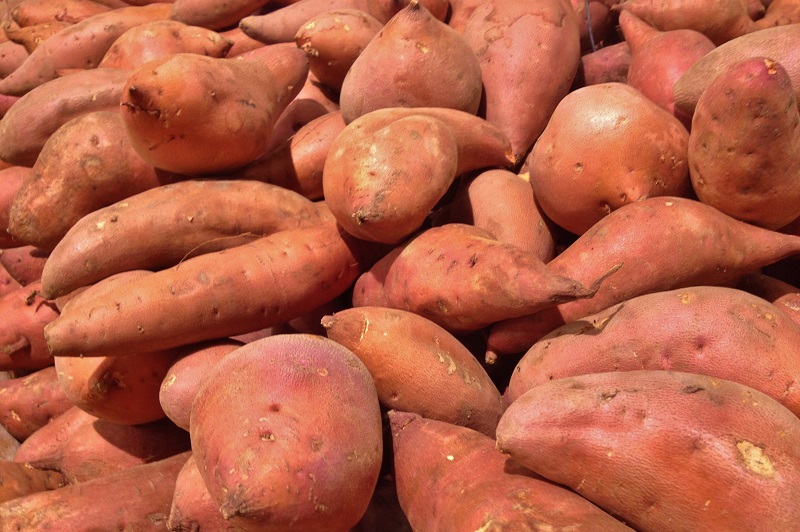 शकरकंदी के हेल्थ बेनेफिट्स – Sweet Potato health benefits in hindi