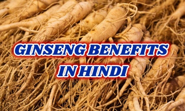 जिनसेंग के फायदे – ginseng benefits in hindi