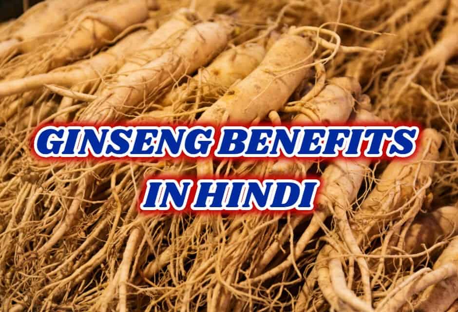 जिनसेंग के फायदे – ginseng benefits in hindi