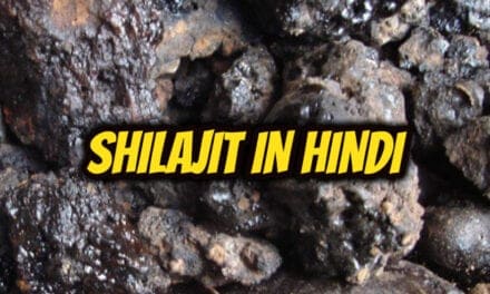 शिलाजीत के फायदे और नुकसान – shilajit in hindi