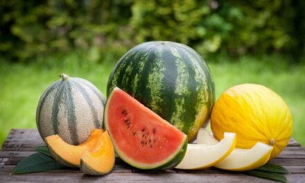 तरबूज के फायदे – Watermelon benefits in hindi