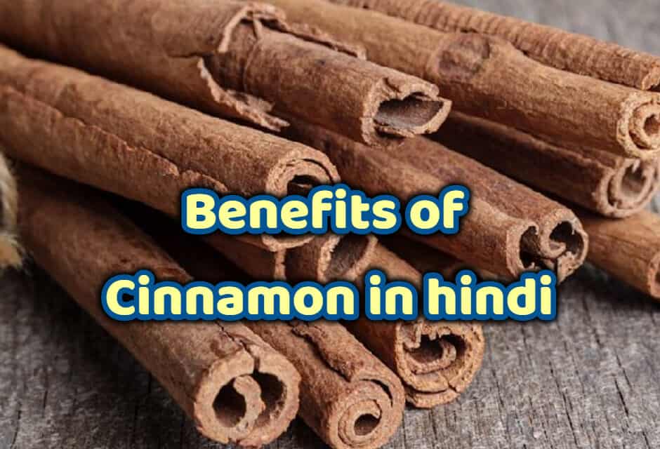 दालचीनी के फायदे – Benefits of Cinnamon in hindi