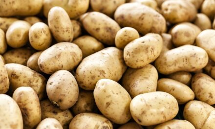Amazing benefits of potatoes that everyone should be aware of