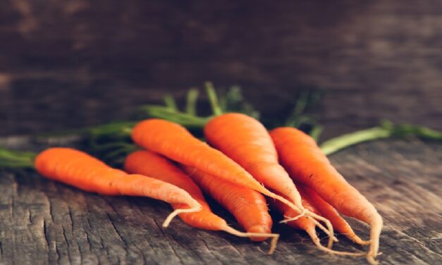 Carrot Juice Benefits everyone should be aware of
