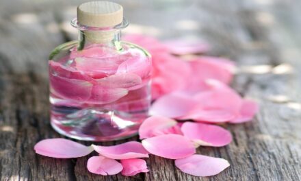 गुलाब जल के फायदे – Rose Water Benefits