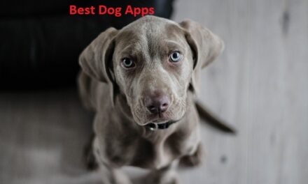 कुत्तों के लिए बेस्ट ऐप्स – Best Dog Apps