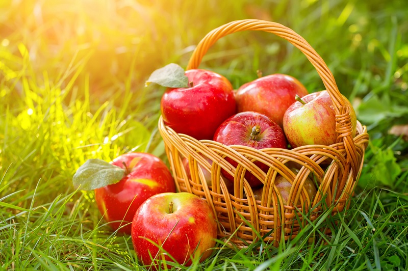 Benefits & Side effects of Apples