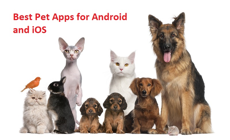 पालतू जानवरों के लिए बेस्ट ऐप्स – Best Pet Apps for Android and iOS