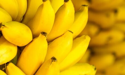 What are the Benefits & side effects of banana? Click here to read more